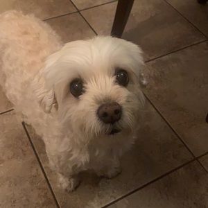 Meet your Posher, Alyna